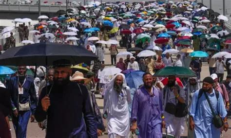 chut land photo|Extreme heat: More than 1,300 died during Hajj this year .